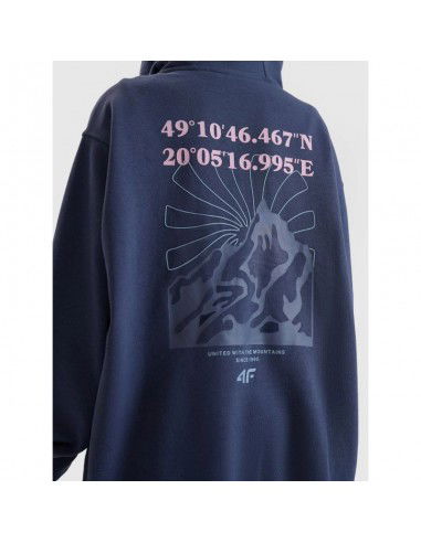 Girls' sweatshirt with a hood 4F...