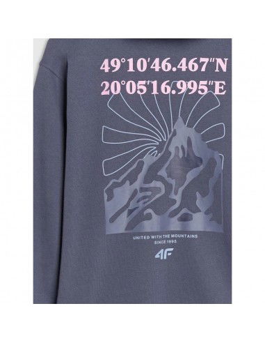 Girls' sweatshirt with a hood 4F...