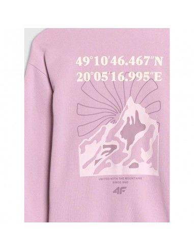 Girls' sweatshirt with a hood 4F...