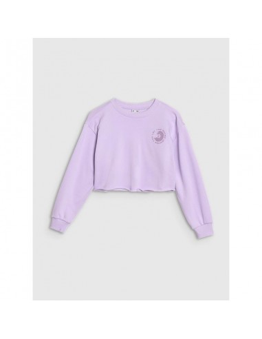 Girls' sweatshirt without a hood 4F...
