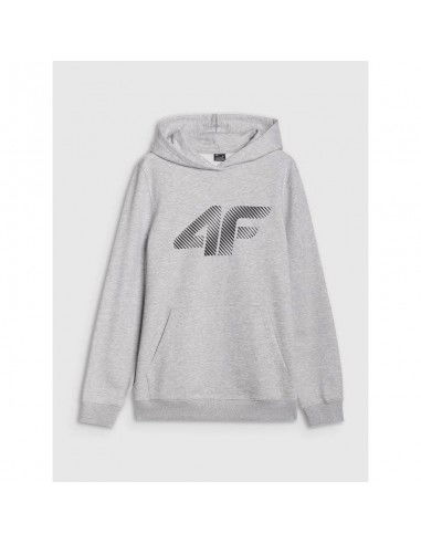 Men's sweatshirt with hood open 4F...