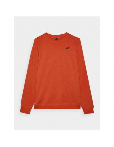 Men's sweatshirt without zipper and...