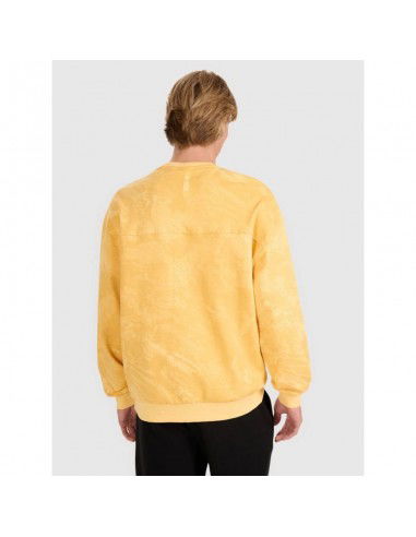 Men's sweatshirt without zipper...