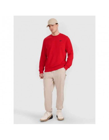 Men's sweatshirt without zipper...