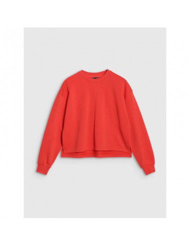 Oversized sweatshirt without a hood...