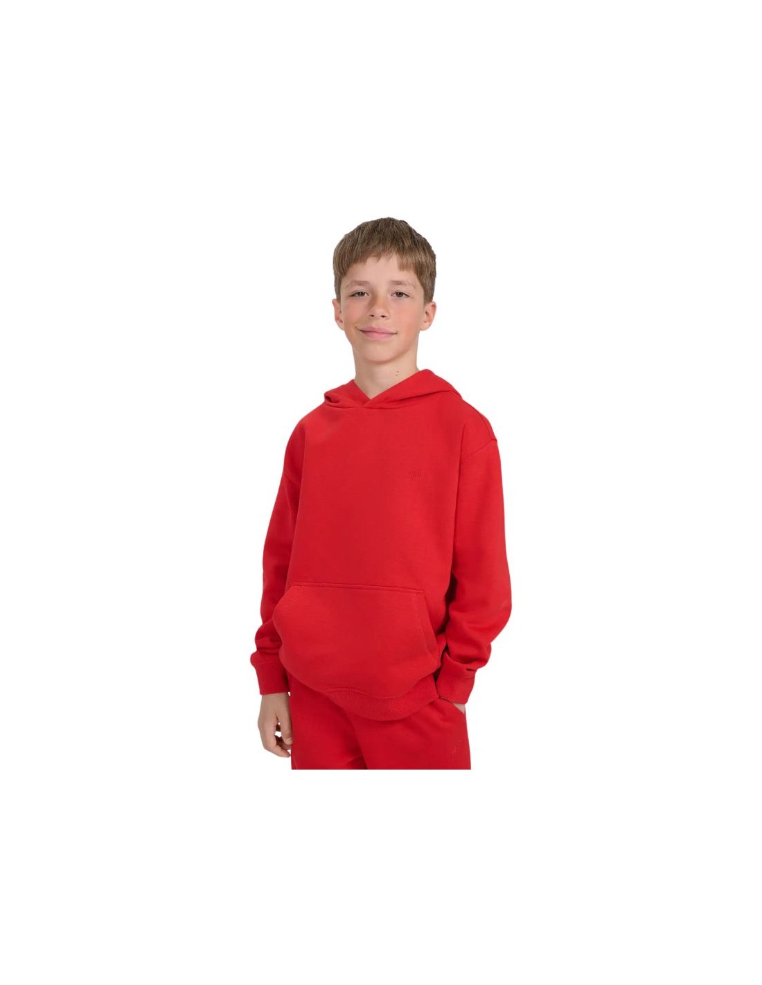 Boys' Hoodies & Sweatshirts 4F