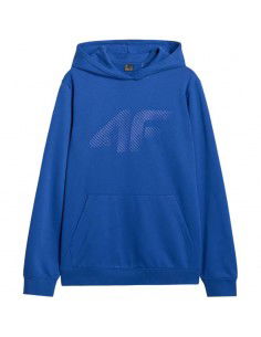 Men's sweatshirt 4F M1980...