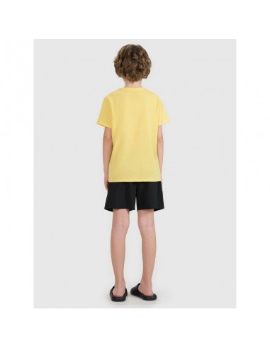 Boys' boardshorts 4F 4FJRMM00UBDSM11020S