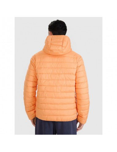 Men's down jacket with synthetic...