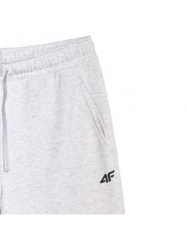 Men's trousers 4F CAS M1140 cool...