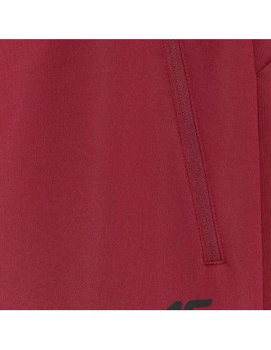 Men's trousers 4F FNK M0936 dark red...