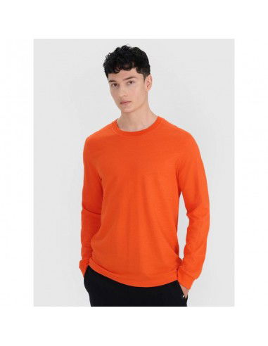 Longsleeve oversize smooth men's 4F...