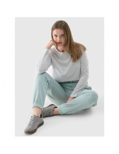 Longsleeve oversize smooth women's 4F...