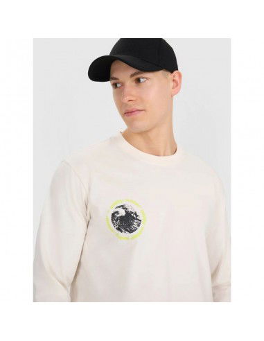 Men's longsleeve regular with print...