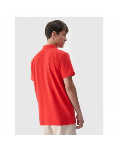 Men's polo shirt 4F SET OF 2 SHIRT...