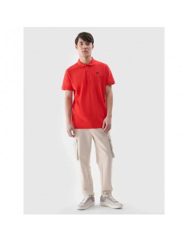 Men's polo shirt 4F SET OF 2 SHIRT...