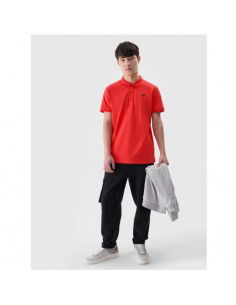 Men's regular polo shirt 4F... 2