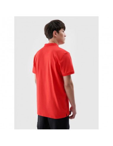 Men's regular polo shirt 4F...