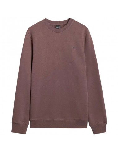 4F M 4FWAW25TSWSM1981 81S sweatshirt