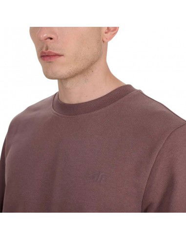 4F M 4FWAW25TSWSM1981 81S sweatshirt