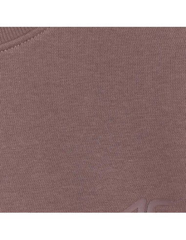 4F M 4FWAW25TSWSM1981 81S sweatshirt