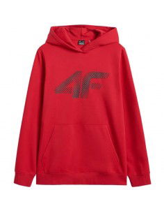 Sweatshirt 4F M...