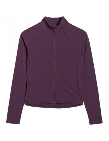 Sweatshirt 4F W 4FWAW25TSWSF1873 50S