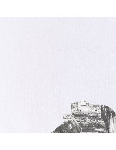 Tshirt 4F M 4FWAW25TTSHM3132 10S