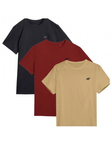Tshirts 4F M 4FWSS25TTSHM396592S