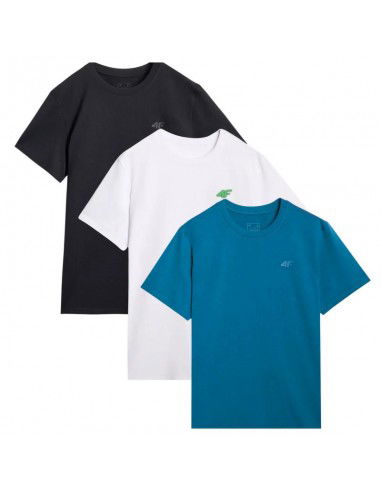 Tshirts 4F M 4FWSS25TTSHM396593S