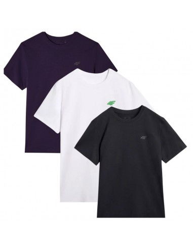 Tshirts 4F M 4FWSS25TTSHM396595S