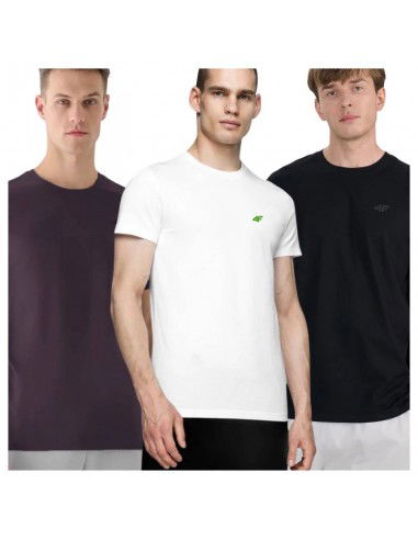 Tshirts 4F M 4FWSS25TTSHM396595S