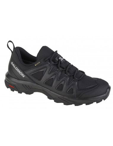 Salomon X Braze GTX L47180400