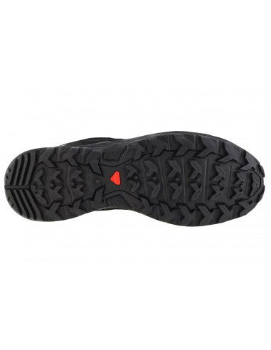 Salomon X Ward GTX L47182300