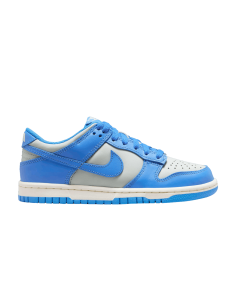 Nike Dunk Low Light Silver Sail Light Photo Blue GS FB9109004 MBS