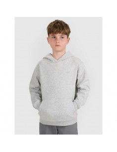 Boy's sweatshirt with hood...