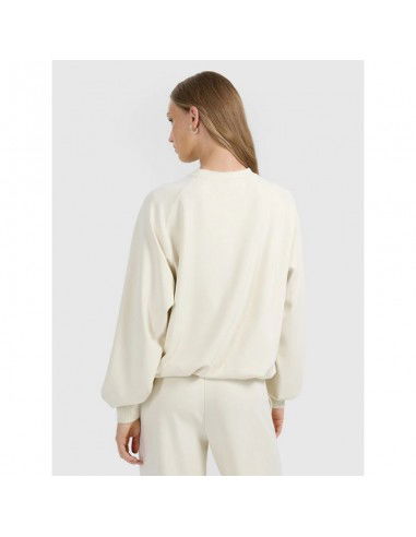 Women's 4F 4FRAW25TSWSF250812S modal...