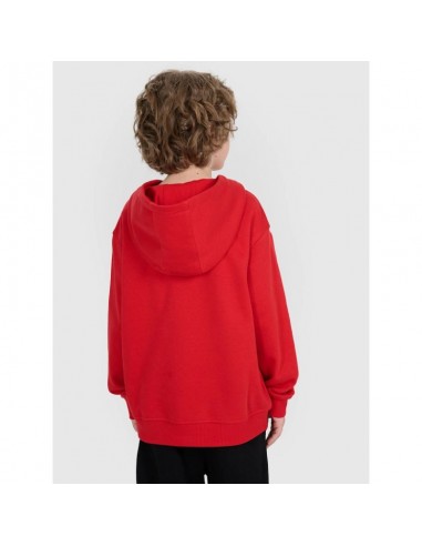 4F JUNIOR sweatshirt 4FJRAW25TSWSM249062S