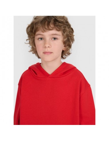 4F JUNIOR sweatshirt 4FJRAW25TSWSM249062S