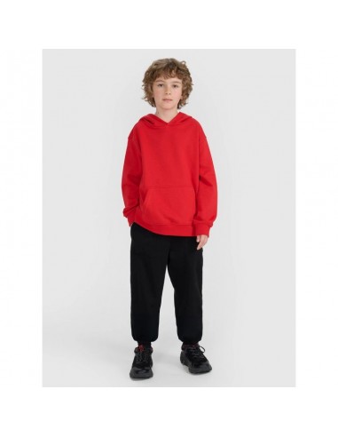 4F JUNIOR sweatshirt 4FJRAW25TSWSM249062S