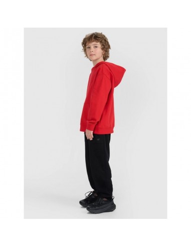 4F JUNIOR sweatshirt 4FJRAW25TSWSM249062S