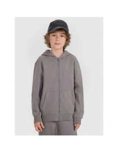 Boy's zipup hoodie sweatshirt 4F 4FJRAW25TSWSM248822S