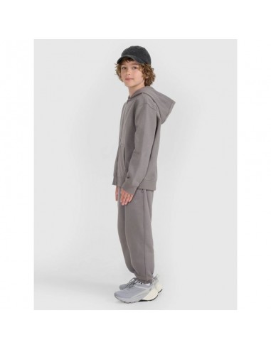 Boy's zipup hoodie sweatshirt 4F 4FJRAW25TSWSM248822S