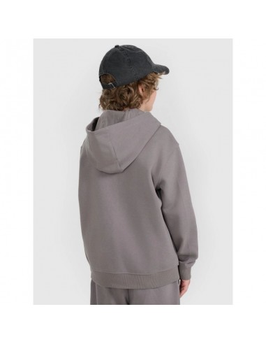 Boy's zipup hoodie sweatshirt 4F 4FJRAW25TSWSM248822S