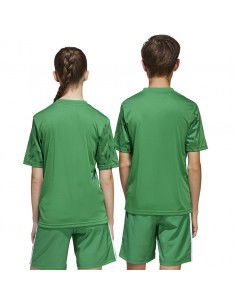 adidas Team Icon 25 JSY Jr... 2