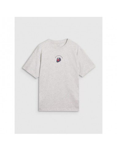 Tshirt 4F M 4FRSS25TTSHM298127M