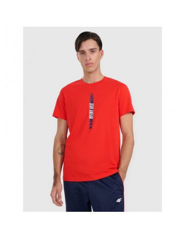 Men's regular printed Tshirt 4F...