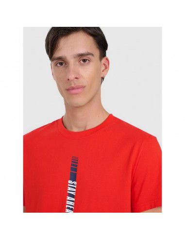 Men's regular printed Tshirt 4F...