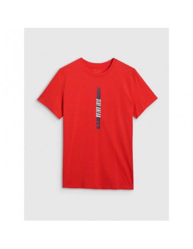 Men's regular printed Tshirt 4F...