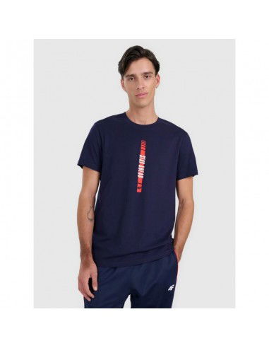 Men's regular printed Tshirt 4F...